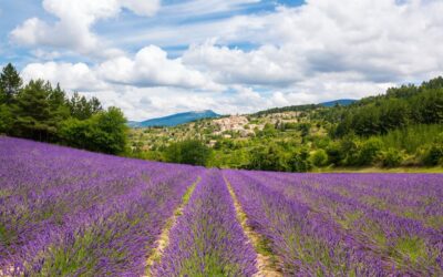 La Drôme provençale, un paradis pour les amoureux de nature et de détente