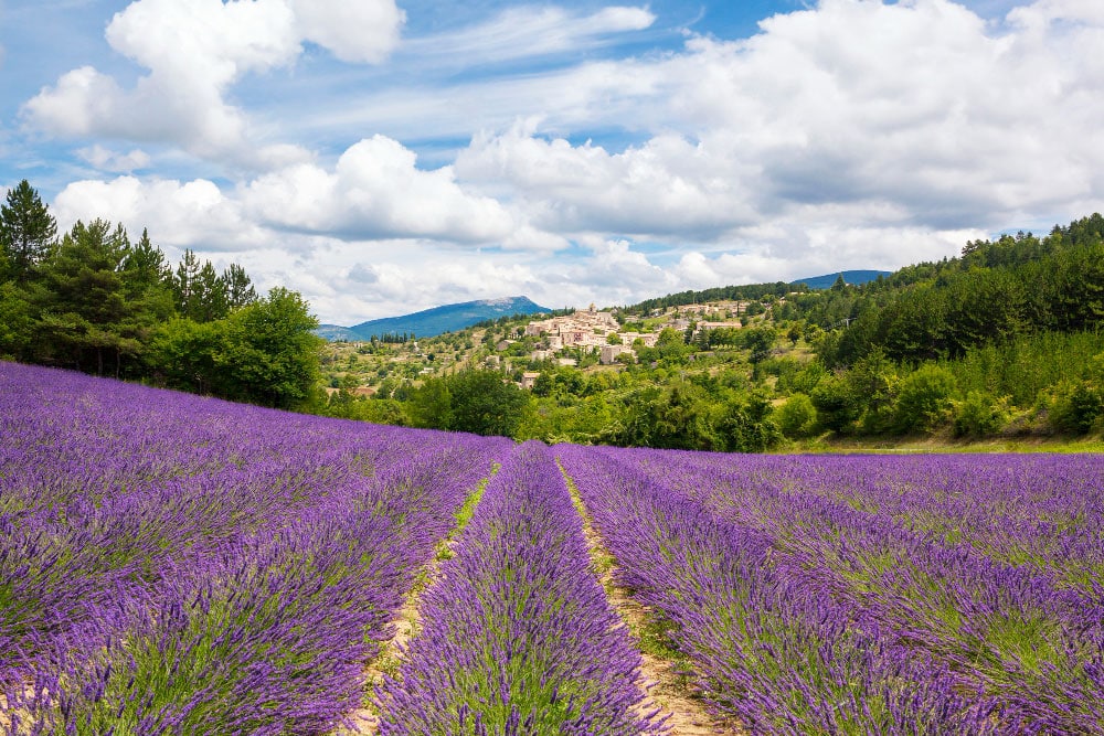 La Drôme provençale, un paradis pour les amoureux de nature et de détente